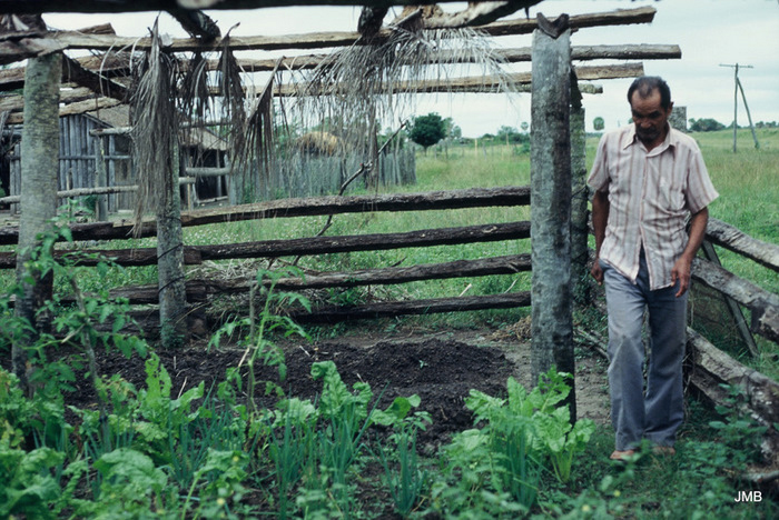 AÑO 1985 - COLOR - VIDA CAMPESINA EN PARAGUAY (JOSÉ MARÍA BLANCH)